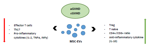 تصویر استفاده از MSC-EVs در پیشگیری و درمان GVHD تصویر استفاده از MSC-EVs در پیشگیری و درمان GVHD